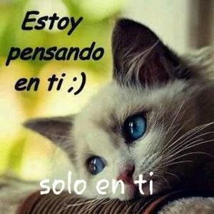 Meet your Posher, Nicolas